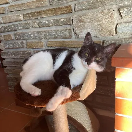 Stella Marina Отель типа 